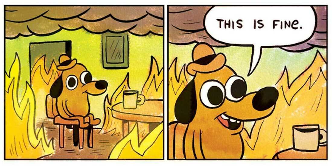 this is fine dog while everything around him is burning meme